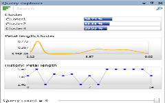 Query explorer