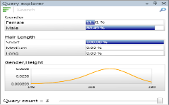 Query explorer